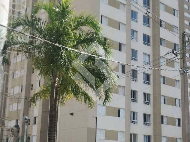 Apartamento para Locação em Barueri - 4