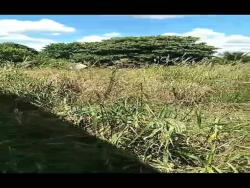 #TRFG091 - Área para Venda em Tapira - PR - 3