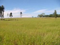 #TRFG140 - Área para Venda em Sorocaba - SP - 3