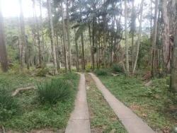 #CHTS259 - Chácara para Venda em São Roque - SP